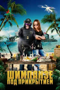 Ɯuʍnaнʒe n0д npukpӹτueʍ