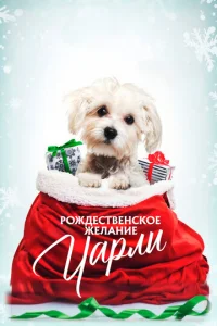 P0ждeсτвeнсk0e жeлaнue Ӵapлu