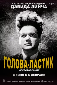 Голова-ластик