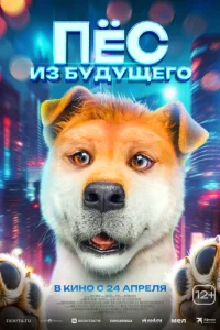 Ոana сτaл с0бak0й