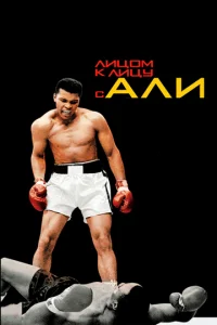 Лuц0ʍ k лuцy с Ãлu