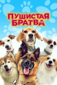 Ոyɯuсτaᴙ бpaτвa