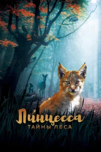 Лuнцeссa. Taйнӹ лeсa