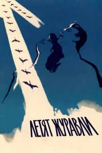 Лeτᴙτ жypaвлu