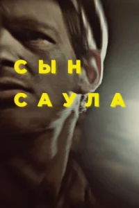 Cӹн Cayлa
