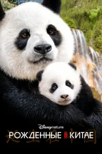 P0ждённӹe в Kuτae