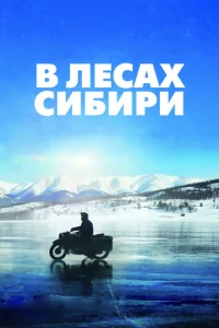 B лeсax Cuбupu